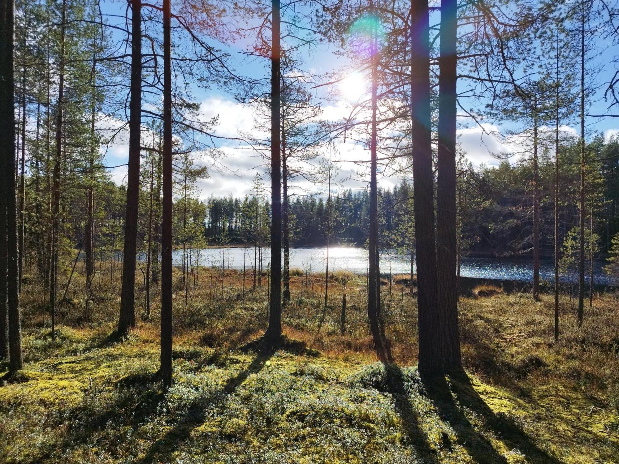 Vihreae Helmi Kuusamo Exterior foto